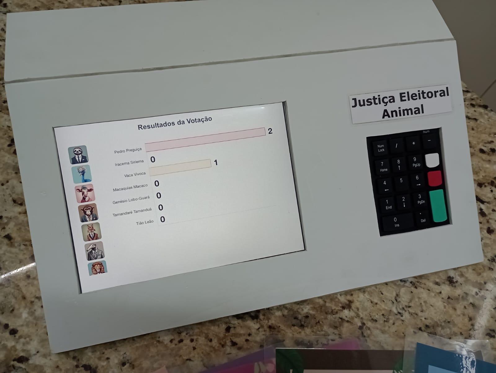 Imagem da tela de resultado com dados